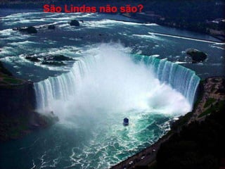 São Lindas não são? 