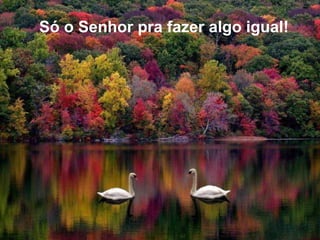 Só o Senhor pra fazer algo igual! 