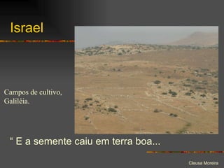 Israel “  E a semente caiu em terra boa... Campos de cultivo, Galiléia. 