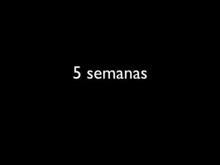 5 semanas
 
