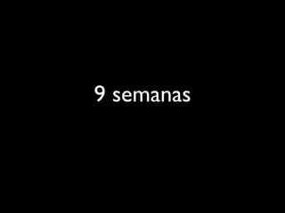 9 semanas
 