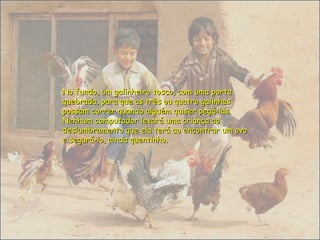 No fundo, um galinheiro tosco, com uma portaNo fundo, um galinheiro tosco, com uma porta
quebrada, para que as três ou quatro galinhasquebrada, para que as três ou quatro galinhas
possam correr quando alguém quiser pegá-las.possam correr quando alguém quiser pegá-las.
Nenhum computador levará uma criança aoNenhum computador levará uma criança ao
deslumbramento que ela terá ao encontrar um ovodeslumbramento que ela terá ao encontrar um ovo
e segurá-lo, ainda quentinho.e segurá-lo, ainda quentinho.
 