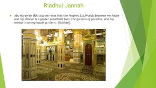Riadhul Jannah
 Abu Hurayrah (RA) also narrates that the Prophet S.A.Wsaid: Between my house
and my minbar is a garden (raudhah) from the gardens of paradise, and my
minbar is on my haudh (cistern). [Bukhari].
 