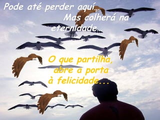 O que partilha, abre a porta à felicidade...   Pode até perder aquí…  Mas colherá na eternidade… 