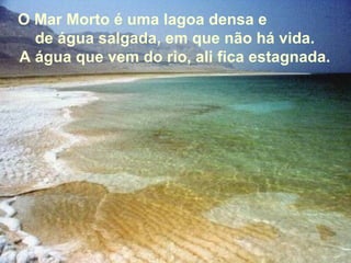 O Mar Morto é uma lagoa densa e  de água salgada, em que não há vida. A água que vem do rio, ali fica estagnada. 