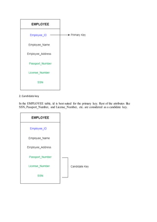 2. Candidate key
In the EMPLOYEE table, id is best suited for the primary key. Rest of the attributes like
SSN, Passport_Number, and License_Number, etc. are considered as a candidate key.
 