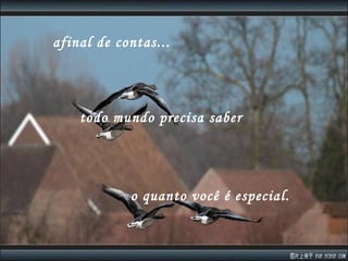 afinal de contas... o quanto você é especial. todo mundo precisa saber 