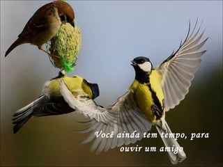 Você ainda tem tempo, para ouvir um amigo 