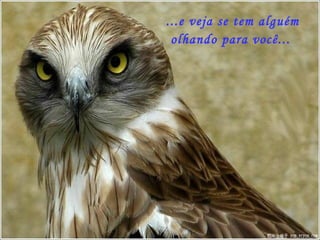 ...e veja se tem alguém olhando para você...  