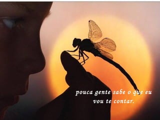 pouca gente sabe o que eu vou te contar. 