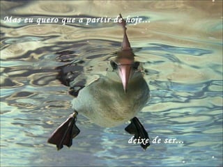 Mas eu quero que a partir de hoje... deixe de ser... 