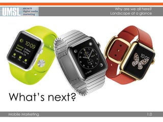 Mobile Marketing 1.0
Why are we all here?
Landscape at a glance
What’s next?
 