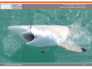 Mobile Marketing
The Mobile Landscape
What is Mobile Marketing?
1.0
 