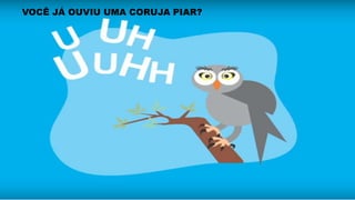 VOCÊ JÁ OUVIU UMA CORUJA PIAR?
 