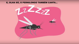 E, OLHA SÓ, O PERNILONGO TAMBÉM CANTA...
 