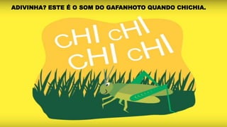 ADIVINHA? ESTE É O SOM DO GAFANHOTO QUANDO CHICHIA.
 