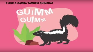 E QUE O GAMBÁ TAMBÉM GUINCHA?
 