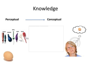 Knowledge
Perceptual        Conceptual
 