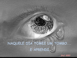 NAQUELE DIA TOMEI UM TOMBO... E APRENDI.   Itu/ 2007 