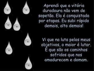 Aprendi que a vitória duradoura não vem de sopetão. Ela é conquistada por etapas. Eu subi rápido demais, alto demais! Vi que na luta pelos meus objetivos, o maior é lutar. E que são os caminhos sofridos que nos amadurecem e domam. 