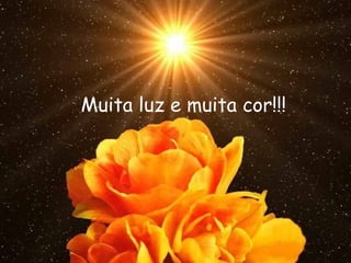 Muita luz e muita cor!!! 