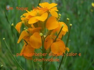 Um  toque  laranja... ...para perceber alegría, calor e criatividade. 