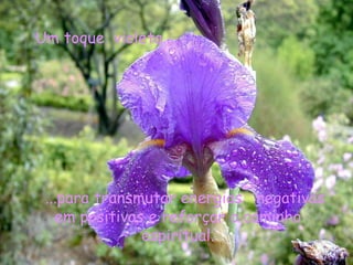 Um toque  violeta... ...para transmutar energias  negativas em positivas e reforçar o caminho espiritual. 