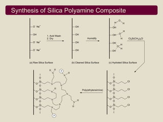 Synthesis of Silica Polyamine Composite
                                                                                              O
                                                                                          H           H
          -       +
         O Na                                             OH                             OH
                                                                                                      H
         OH                                               OH                                      O
                       1. Acid Wash                                                      OH
                       2. Dry                                      Humidify                       H       Cl3Si(CH2)3Cl
          -       +
         O Na                                             OH                             OH
                                                                                                  H
                                                                                              O
                                                                                                  H
         O- Na+                                           OH                             OH




      (a) Raw Silica Surface                         (b) Cleaned Silica Surface      (c) Hydrated Silica Surface


                         H       H
                                         P
                             N                   H
                                             N
                  O                                                                      O
                  Si                                                                     Si               Cl
              O              N                                                       O
                  O                  N                                                   O
                  Si             H                                                       Si               Cl
                                                               Poly(ethyleneimine)   O
              O              N
                  O                              N                                       O
                  Si                                                                     Si               Cl
              O              N                                                       O
                  O                                        H                             O
                                                      N
                  Si                 N                                                   Si               Cl
              O              N                       H                               O
                  O                                                                      O

                                 P
 