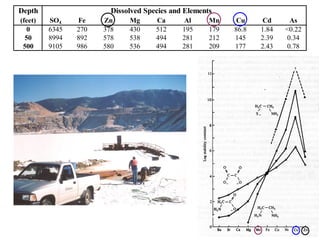 Depth                   Dissolved Species and Elements
(feet)   SO4    Fe    Zn     Mg      Ca      Al      Mn     Cu     Cd      As
   0     6345   270   378    430     512     195     179   86.8   1.84   <0.22
  50     8994   892   578    538     494     281     212   145    2.39    0.34
 500     9105   986   580    536     494     281     209   177    2.43    0.78
 