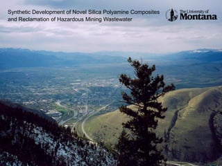 Synthetic Development of Novel Silica Polyamine Composites
and Reclamation of Hazardous Mining Wastewater
 