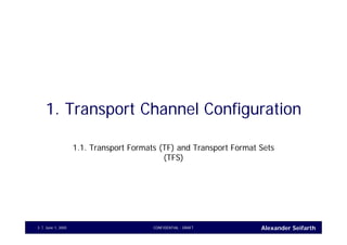 Alexander SeifarthCONFIDENTIAL - DRAFTJune 1, 20053
1. Transport Channel Configuration
1.1. Transport Formats (TF) and Transport Format Sets
(TFS)
 