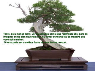 Tente, pelo menos tente, ver as pessoas como elas realmente são, pare de  imaginar como elas deveriam ser, ou tentar consertá-las da maneira que você acha melhor. O torto pode ser a melhor forma de uma árvore crescer.  