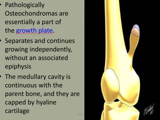 • Pathologically
Osteochondromas are
essentially a part of
the growth plate.
• Separates and continues
growing independently,
without an associated
epiphysis
• The medullary cavity is
continuous with the
parent bone, and they are
capped by hyaline
cartilage UMY
 