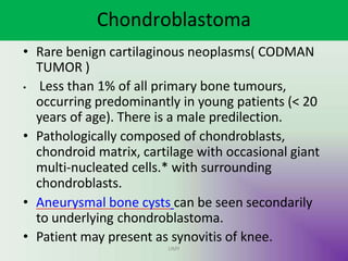 Chondroblastoma
UMY
• Rare benign cartilaginous neoplasms( CODMAN
TUMOR )
• Less than 1% of all primary bone tumours,
occurring predominantly in young patients (< 20
years of age). There is a male predilection.
• Pathologically composed of chondroblasts,
chondroid matrix, cartilage with occasional giant
multi-nucleated cells.* with surrounding
chondroblasts.
• Aneurysmal bone cysts can be seen secondarily
to underlying chondroblastoma.
• Patient may present as synovitis of knee.
 