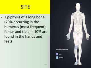 SITE
• Epiphysis of a long bone
(70% occurring in the
humerus (most frequent),
femur and tibia, ~ 10% are
found in the hands and
feet)
UMY
 