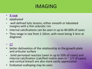 IMAGING
• X-rays
• epiphyseal
• well defined lytic lesions; either smooth or lobulated
margins with a thin sclerotic rim
• Internal calcifications can be seen in up to 40-60% of cases
• They range in size from 1-10cm, with most being 3-4cm at
diagnosis
• CT
• better delineation of the relationship to the growth plate
and articular surface
• Solid periosteal reaction (seen in up to 50% of cases) and
internal calcification (calcified matrix seen in ~ 1/2 of cases)
and cortical breach are also more easily appreciated.
• Endosteal scalloping may be
UMs
Y een
 