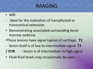IMAGING
UMY
• MRI
• Ideal for the evaluation of transphyseal or
transcortical extension.
• Demonstrating associated surrounding bone
marrow oedema.
•These lesions have signal typical of cartilage: T1
- lesion itself is of low to intermediate signal T2
/ STIR - lesion is of intermediate to high signal
• Fluid-fluid levels may occasionally be seen .
 