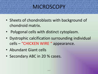 MICROSCOPY
UMY
• Sheets of chondroblasts with background of
chondroid matrix.
• Polygonal cells with distinct cytoplasm.
• Dystrophic calcification surrounding individual
cells – “CHICKEN WIRE “ appearance.
• Abundant Giant cells
• Secondary ABC in 20 % cases.
 