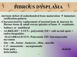 FIBROUS DYSPLASIA
UMY
-intrinsic defect of endochondral bone maturation  immature
ossification pattern
-Characterized by replacement of normal bone & marrow by
fibrous tissue & small woven spicules of bone  weakbone .
- Solitary or multifocal
- ALBRIGHT ‘ S SYN : polyostotic F.D + café au lait spots +
endocrinopathies .
- MAZABRAUD SYN- Polyostotic FD+ Intramuscular
myxomas
- Site : rib , femur , humerus , tibia , maxilla
- C.F : monostotic – asymptomatic
bone pain , skeletal
deformities .
 