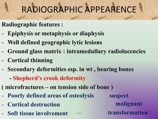 RADIOGRAPHIC APPEARENCE
Radiographic features :
- Epiphysis or metaphysis or diaphysis
- Well defined geographic lytic lesions
- Ground glass matrix : intramedullary radiolucencies
- Cortical thinning
- Secondary deformities esp. in wt , bearing bones
- Shepherd’s crook deformity
( microfractures – on tension side of bone )
- Poorly defined areas of osteolysis
- Cortical destruction
- Soft tissue involvement
suspect
malignant
transformation
UMY
 
