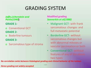 GRADING SYSTEM
Jaffe,Lichenstein and
Portis(1940)
GRADE 1-
o Conventional GCT
GRADE 2-
o Boderline tumours
GRADE 3-
o Sarcomatous type of stroma
Modified grading
Sannerkin et al(1980)
• Malignant GCT- with frank
sarcomatous changes and
full metastatic potential
• Borderline GCT- without
sarcomatous changes but
with abnormal mitoses or
vascular permeation or both
• Conventional GCT- without
features of any of the above
two types
No correlation exists between histological grading and clinical behavior of the tumour.
Hence grading not widely accepted.
UMY
 