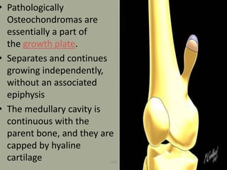 • Pathologically
Osteochondromas are
essentially a part of
the growth plate.
• Separates and continues
growing independently,
without an associated
epiphysis
• The medullary cavity is
continuous with the
parent bone, and they are
capped by hyaline
cartilage UMY
 