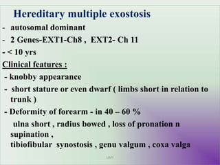 Hereditary multiple exostosis
- autosomal dominant
- 2 Genes-EXT1-Ch8 , EXT2- Ch 11
- < 10 yrs
Clinical features :
- knobby appearance
- short stature or even dwarf ( limbs short in relation to
trunk )
- Deformity of forearm - in 40 – 60 %
ulna short , radius bowed , loss of pronation n
supination ,
tibiofibular synostosis , genu valgum , coxa valga
UMY
 