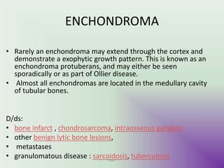 ENCHONDROMA
• Rarely an enchondroma may extend through the cortex and
demonstrate a exophytic growth pattern. This is known as an
enchondroma protuberans, and may either be seen
sporadically or as part of Ollier disease.
• Almost all enchondromas are located in the medullary cavity
of tubular bones.
D/ds:
• bone infarct , chondrosarcoma, intraosseous ganglion
• other benign lytic bone lesions,
• metastases
• granulomatous disease : sarcoidosis, tuberculosisUMY
 