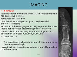 IMAGING
• X-ray & CT
Typically enchondromas are small 1 - 2cm lytic lesions with
non-aggressive features.
narrow zone of transition
sharply defined scalloped margins : may have mild
endosteal scalloping
expansion of the overlying cortex may be present but there
should not be cortical breakthrough unless fractured
Chondroid calcifications may be present : rings and arcs
calcification-STIPPLED/PUNCTATE/POPCORN
no periosteal rxn.
• The majority of enchondromas more frequently arise in
the metaphyseal region,.
A cartilaginous lesion in an epiphysis is more likely to be a
chondrosarcoma .
UMY
 