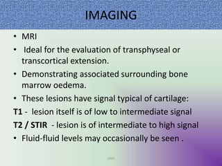 IMAGING
• MRI
• Ideal for the evaluation of transphyseal or
transcortical extension.
• Demonstrating associated surrounding bone
marrow oedema.
• These lesions have signal typical of cartilage:
T1 - lesion itself is of low to intermediate signal
T2 / STIR - lesion is of intermediate to high signal
• Fluid-fluid levels may occasionally be seen .
UMY
 