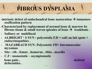 FIBROUS DYSPLASIA
-intrinsic defect of endochondral bone maturation  immature
ossification pattern
-Characterized by replacement of normal bone & marrow by
fibrous tissue & small woven spicules of bone  weakbone .
- Solitary or multifocal
- ALBRIGHT ‘ S SYN : polyostotic F.D + café au lait spots +
endocrinopathies .
- MAZABRAUD SYN- Polyostotic FD+ Intramuscular
myxomas
- Site : rib , femur , humerus , tibia , maxilla
- C.F : monostotic – asymptomatic
bone pain , skeletal
deformities .
UMY
 