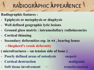 RADIOGRAPHIC APPEARENCE
Radiographic features :
- Epiphysis or metaphysis or diaphysis
- Well defined geographic lytic lesions
- Ground glass matrix : intramedullary radiolucencies
- Cortical thinning
- Secondary deformities esp. in wt , bearing bones
- Shepherd’s crook deformity
( microfractures – on tension side of bone )
- Poorly defined areas of osteolysis suspect
- Cortical destruction malignant
- Soft tissue involvement transformationUMY
 
