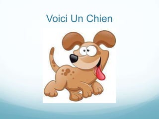 Voici Un Chien

 