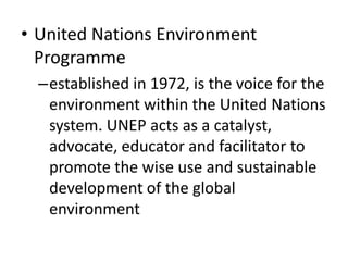 Introduction to United Nation | PPTX